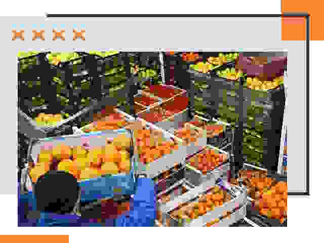 Перевозка скоропортящихся продуктов в Кропоткине